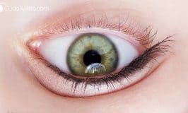 7 Síntomas Oculares Que Requieren Una Revisión De La Vista Urgente