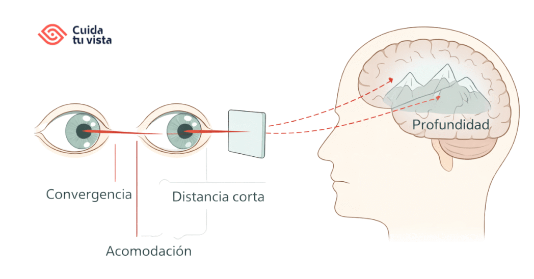 ¿Es mala la realidad virtual para la vista? esquema del conflicto entre acomodación y convergencia al usar realidad virtual